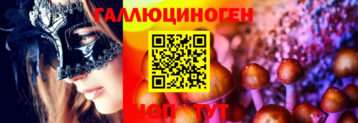 Галлюциногенные грибы GOLDEN TEACHER Чебоксары