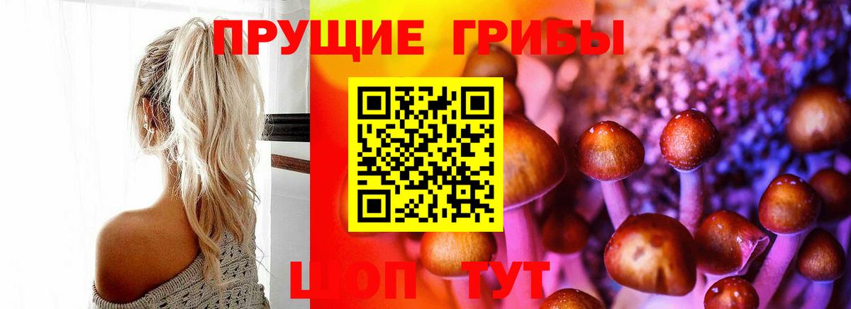 Галлюциногенные грибы Cubensis  Псилоцибиновые грибы мицелий  Вход с VPN  Чебоксары 